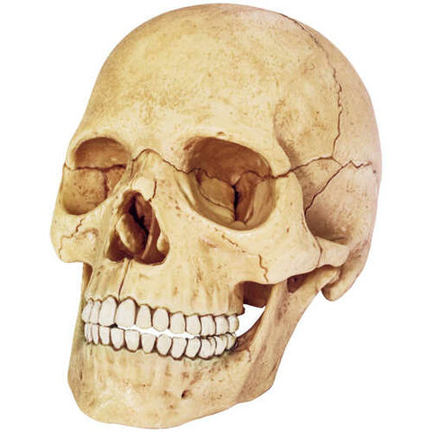 Fin de la antigua Grecia