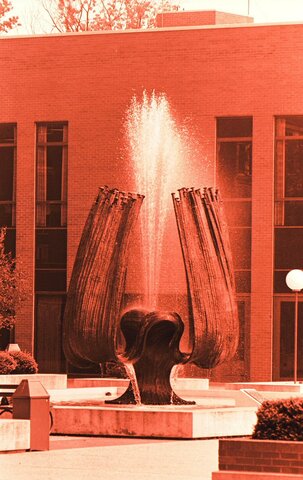 Online Graduate School