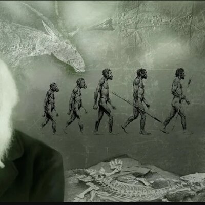 Timeline: antecedentes de la teoría sintética de la evolución.