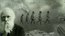 Timeline: antecedentes de la teoría sintética de la evolución.