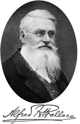 Teoría de la selección natural