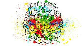 Construcción de modelos