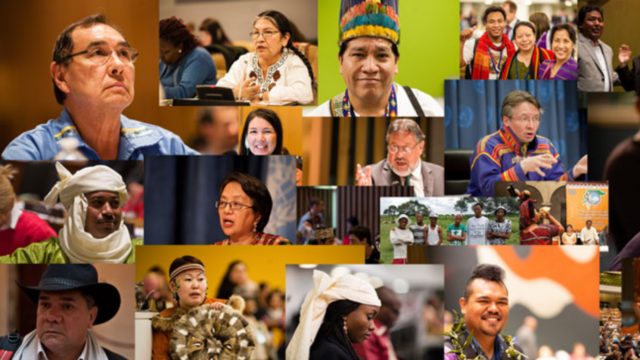 PUEBLOS INDIGENAS IDENTIFICADOS