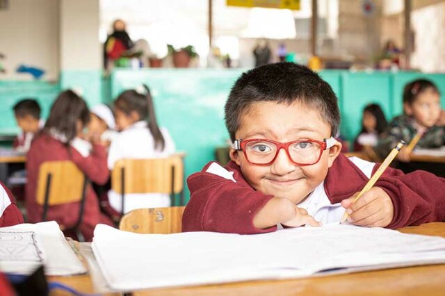 DECRETO 1421 de 2017