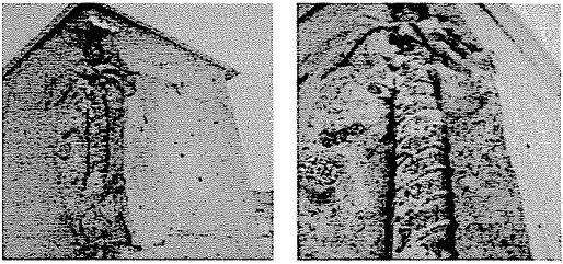 Desprendimiento en una columna