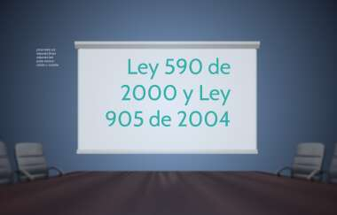 Ley 905 del 2004