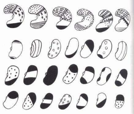 ESCRITURA PALLAREIFORME (MOCHICA)