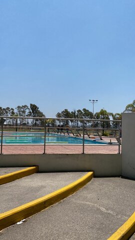 Clases presenciales y natación