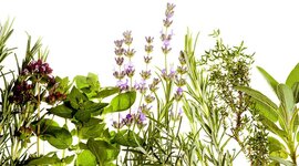 Timeline: Лекарственные растения как альтернатива фармацевтическим препаратам