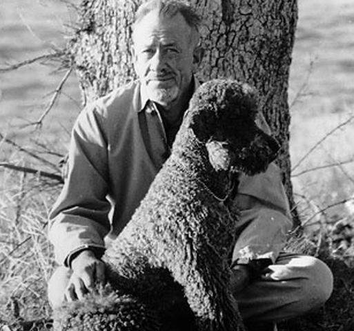 Pubblica "Travels with Charley"