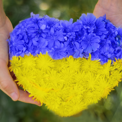 Timeline: EESTI JA UKRAINA SÕJAS JA RAHUS