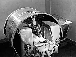 LAIKA, THE NEW ASTRONAUT DOG