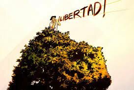 Se habilitan 4 ministerios