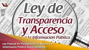 La publicación de la Ley Federal de Transparencia y Acceso a la Información Pública Gubernamental