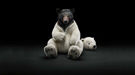 Timeline: Historia de la globalizacion