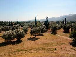 Battaglia di Maratona