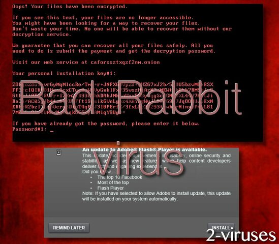 Virus Rabbit