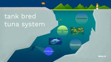 Tank-bred tuna system