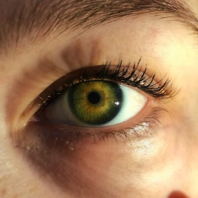 Timeline: Взлеты и падения