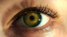 Timeline: Взлеты и падения