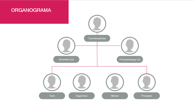 Planejamento do Internato