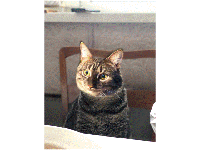 Начало курса