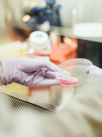 Atividades Complementares