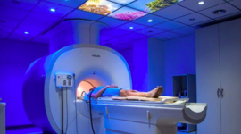 Timeline: Historia de la RMN