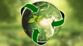 Timeline: Historia de la ecología