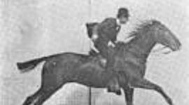 Timeline: Motion pictures over time