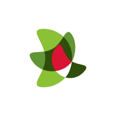 Ejecución del "Plan Ceibal"