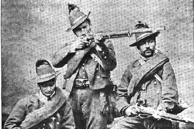 introduzione della legge Pica