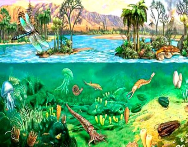 ERA Paleozoica