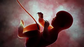 Timeline: History of Abortions