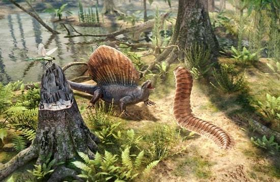 PERÍODO Carbonífero