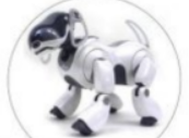 Sony / AIBO, Robot Domestique