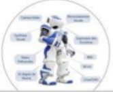Aldebaran Robotics / NAO, Le Compagnon