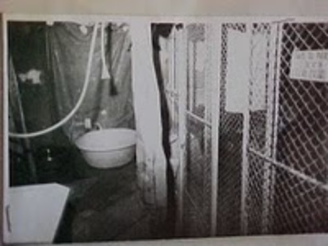 Las Fuerzas Conjuntas capturan la “Cárcel del Pueblo”. Liberación de U.Pereyra Reverbel y de C. Frick Davies. secuestrados desde 1971.