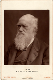 Charles Darwin Teoria de la Evolución