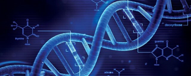 L’uomo delinquente