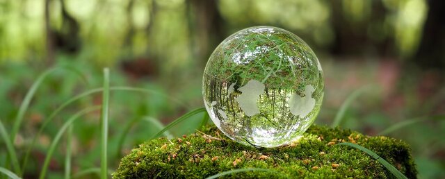 ISO 14001: 2015 Proporciona