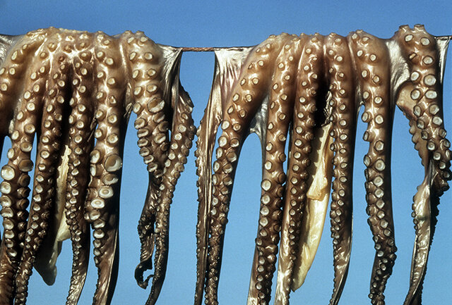 Regional Seas Programme established