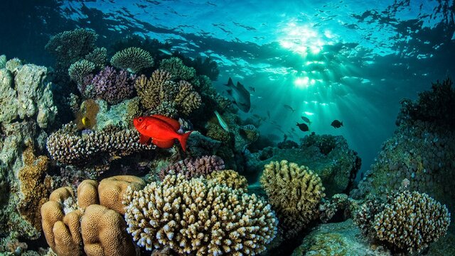 The UN Decade of Ocean Science for Sustainable Development begins