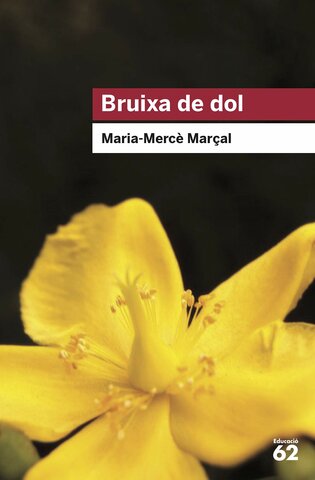 Publica Bruixa de dol