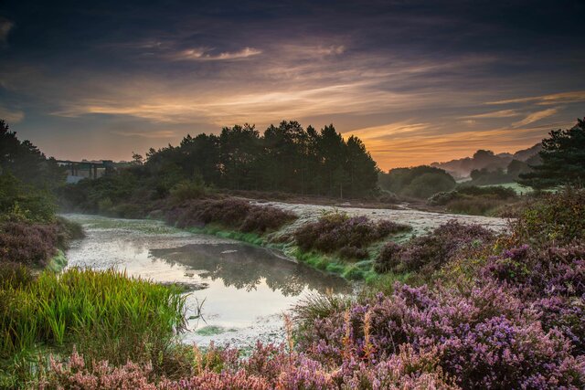 Leaders sign Convention for Biological Diversity