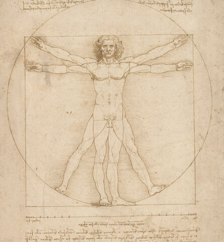 = Uomo Vitruviano =