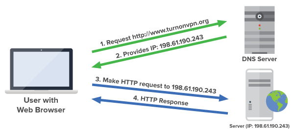Domain Name System (DNS)
