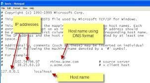 Domain Name System (DNS)
