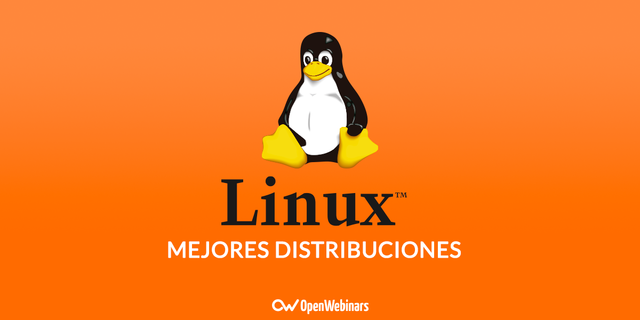 Lanzamiento de la distribución Ubuntu Linux