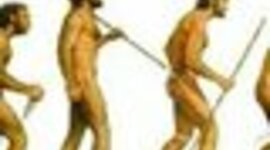 Timeline:  Conceptos básicos de Seguridad y Salud en el trabajo